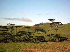 Brazil-Rio Grande do Sul-Canyons and Waterfalls in Brazil